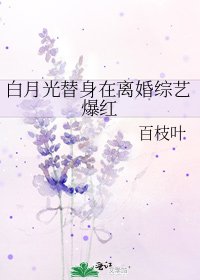白月光替身在离婚综艺爆红