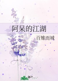 阿呆的江湖