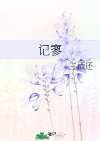 记寥