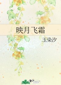 映月飞霜