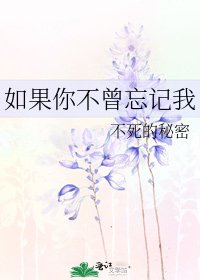 如果你不曾忘记我